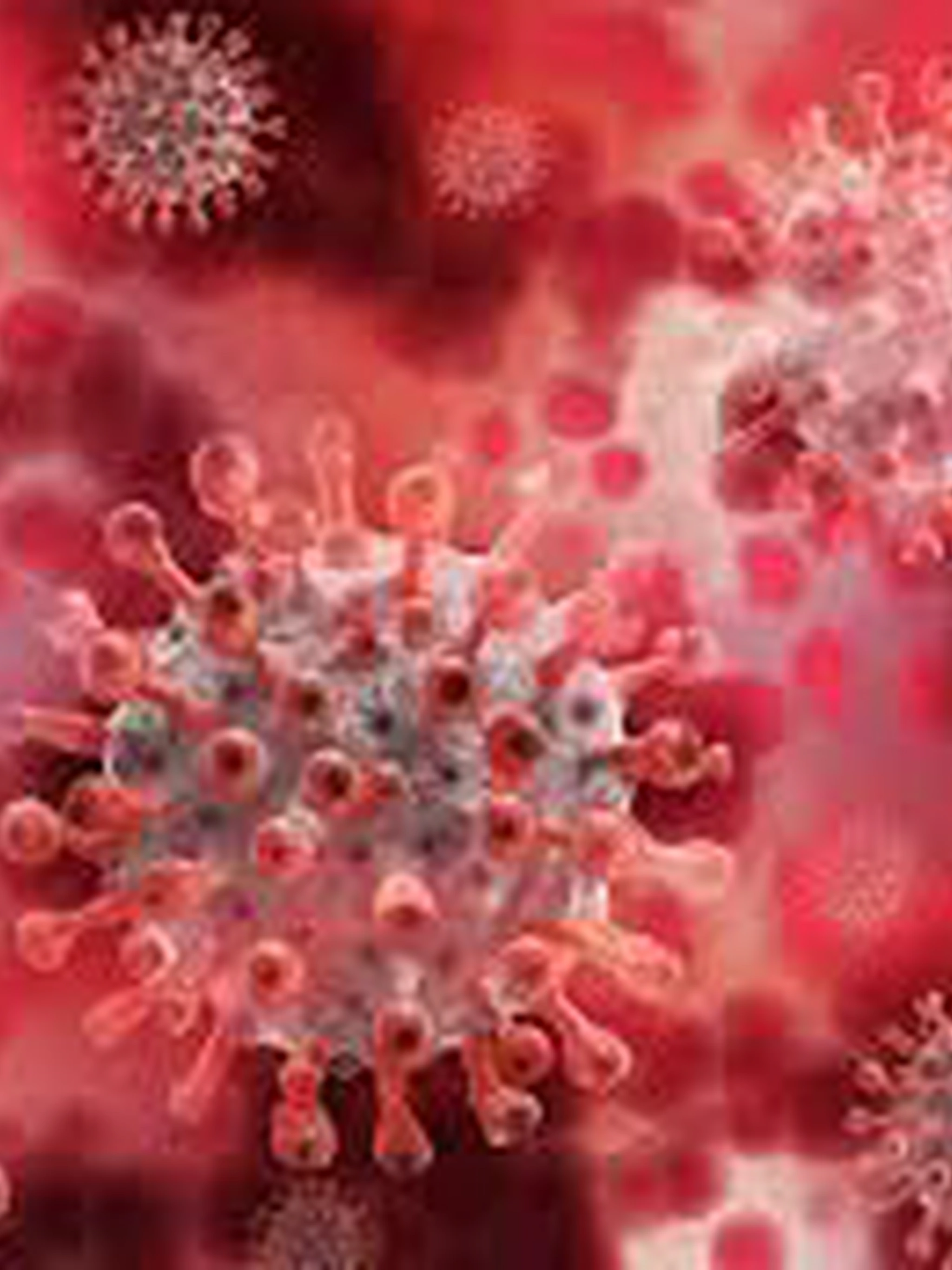 Virus